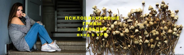 прущая мука Магас