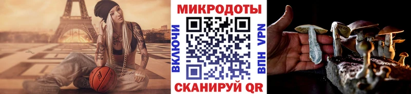 Купить где  Тимашёвск  Псилоцибиновые грибы ЛСД 